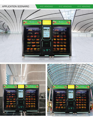 Outdoor Automatic Axis Lift Elevator Metal Steel Frame Fresh Food Sandwich Cupcake Milk Vending Machine